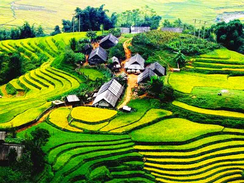 Sapa